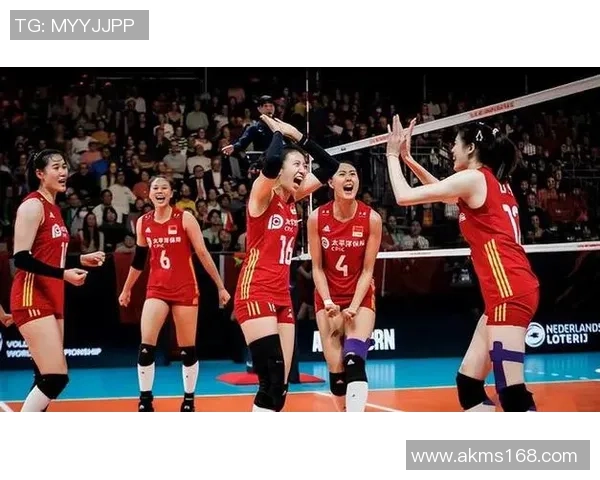 上海排球队的默契配合探讨与战术分析